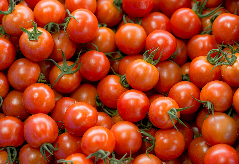 株式会社無限大