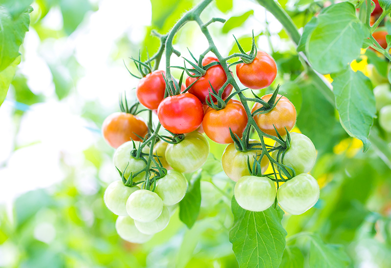 株式会社無限大