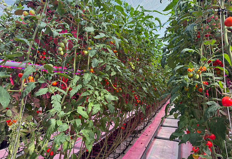 株式会社無限大