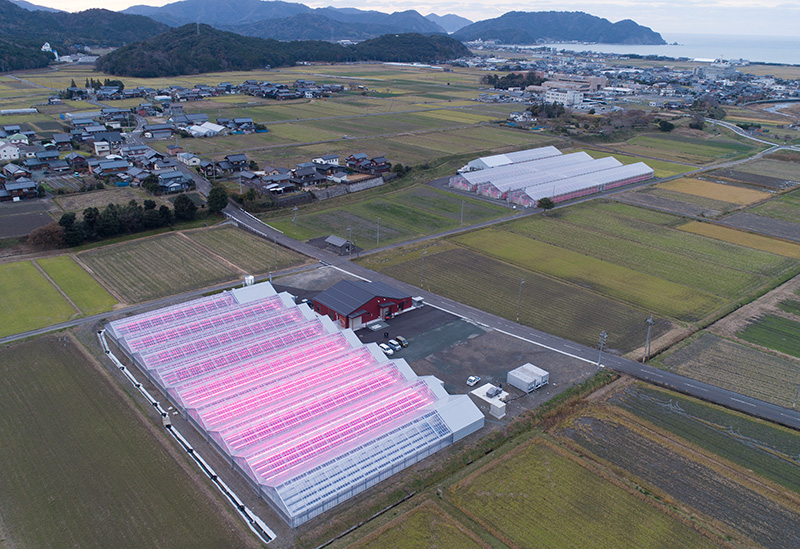 株式会社無限大