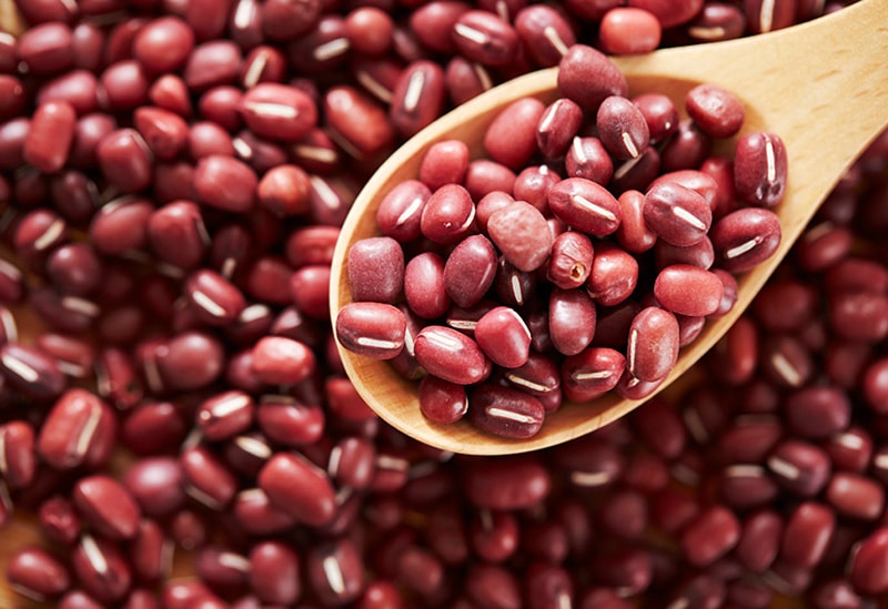 御菓子司 一力総本店