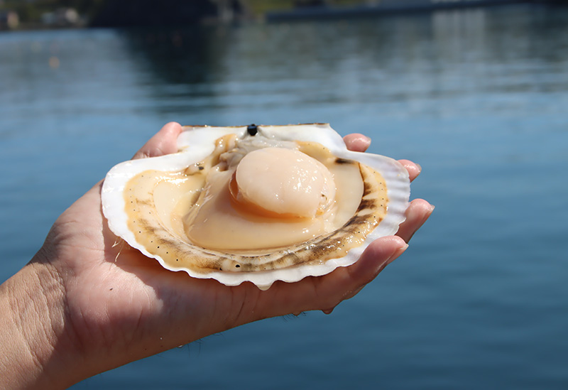 室蘭漁業協同組合