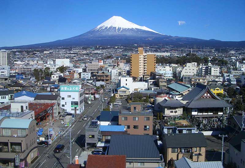 お茶の山大園 本店