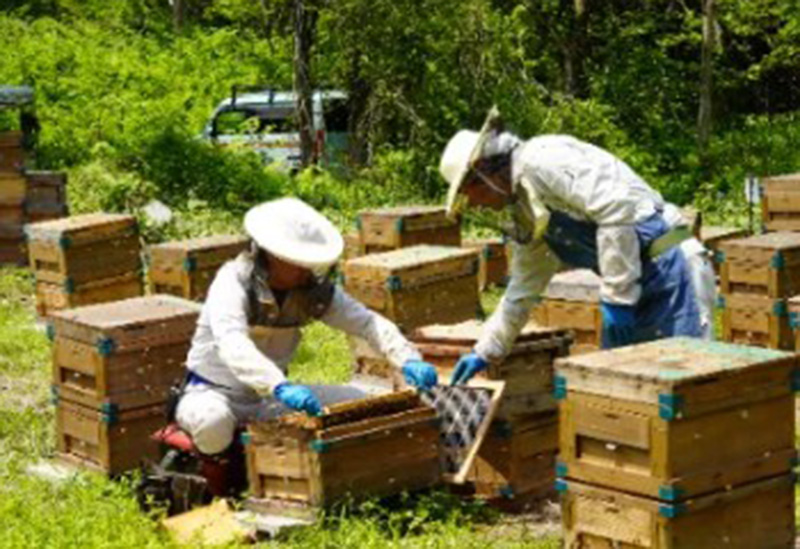 Boutique del miele／松本養蜂総本場