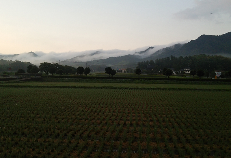 むすび営農組合