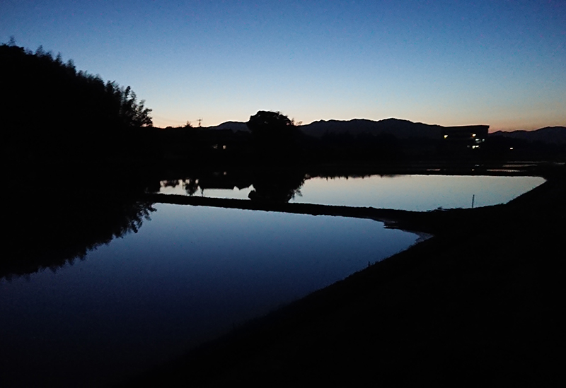 むすび営農組合