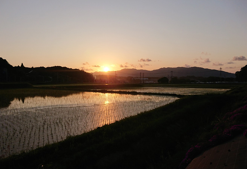 むすび営農組合