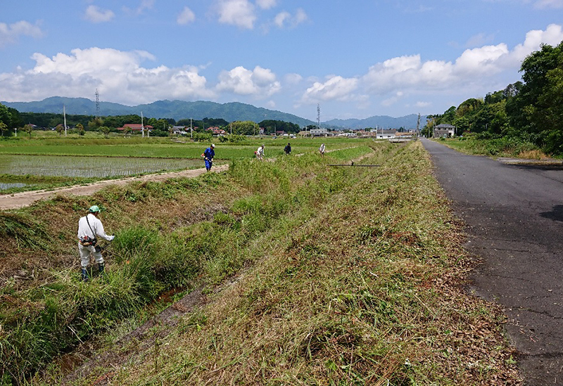 むすび営農組合