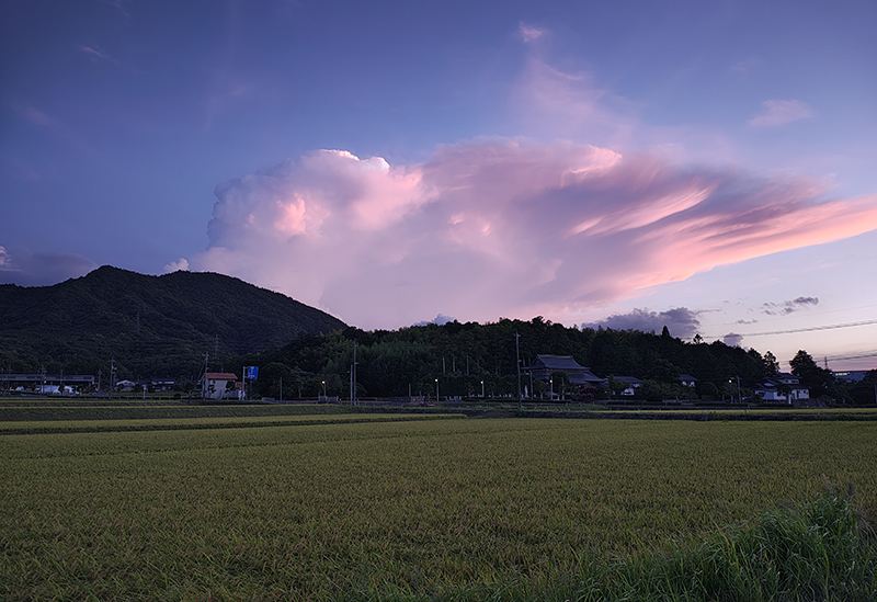 むすび営農組合