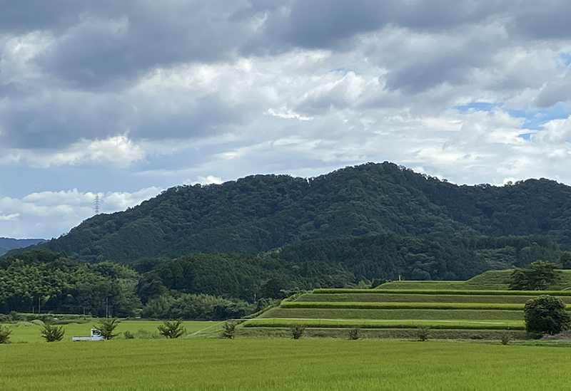株式会社WAIRA TAMBA