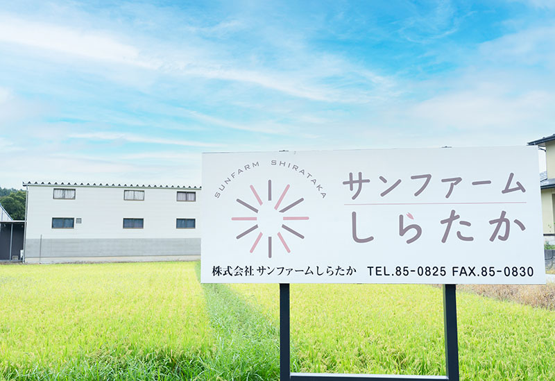 株式会社サンファームしらたか