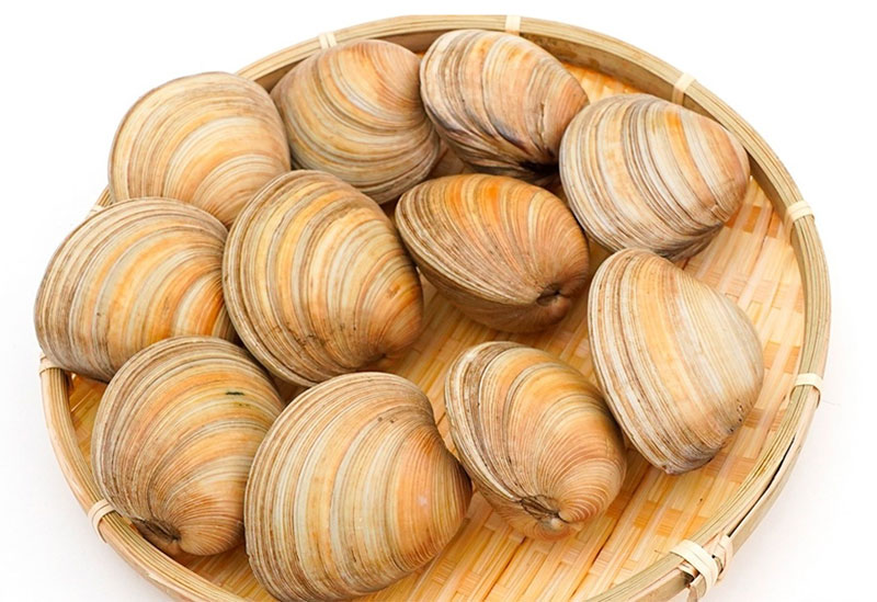 活魚　浅野水産