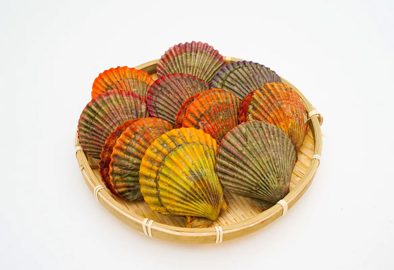 活魚　浅野水産