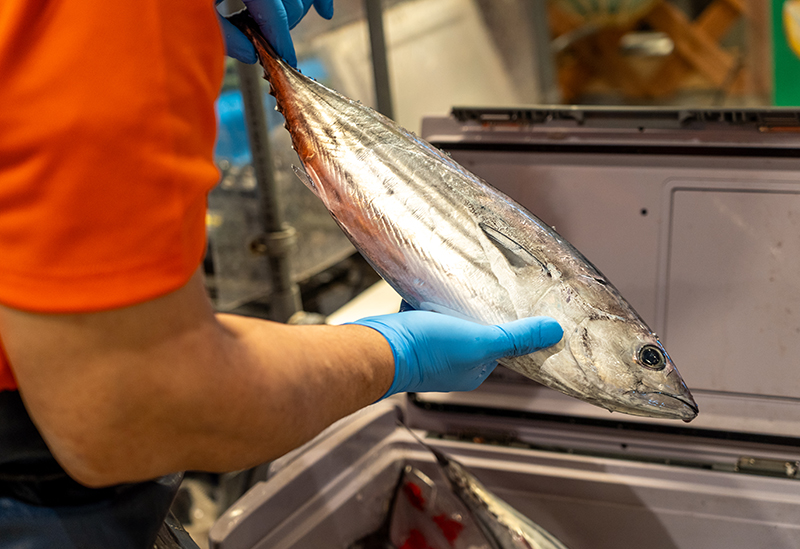 活魚　浅野水産