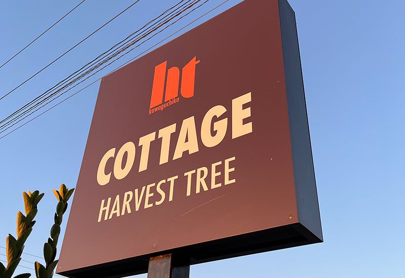 Cottage Harvest tree