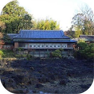 静岡県の観光スポットを探す