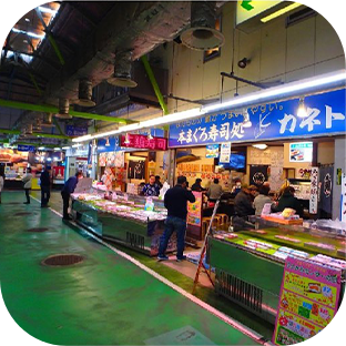 焼津市周辺エリアの観光スポット