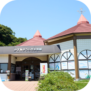 茨城県の観光スポット