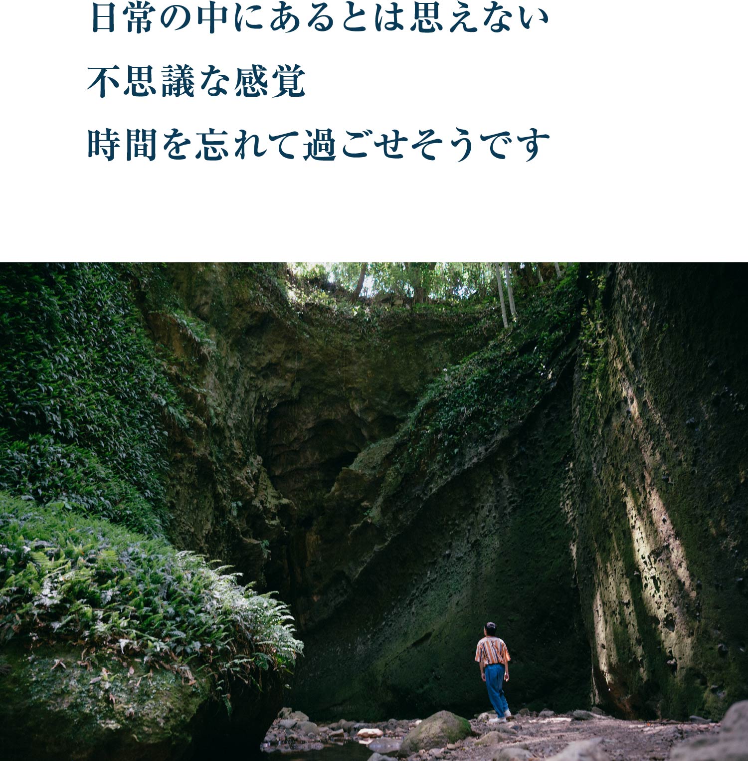 Special Interview 須賀健太｜［旅色FOCAL］高知県安芸市特集