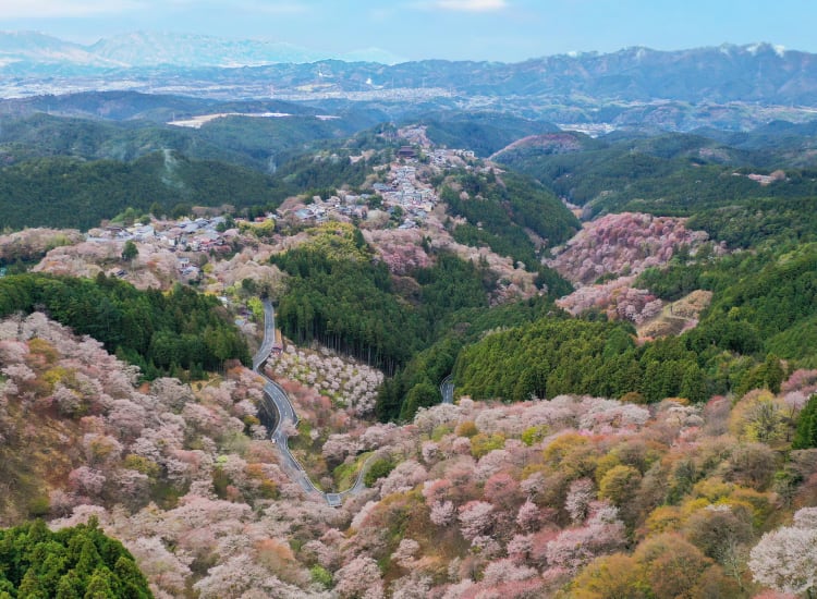テーマのある旅 西行法師と春に浸る旅 月刊旅色 21年4月号 テーマのある旅 西行法師と春に浸る旅 月刊旅色 21年4月号