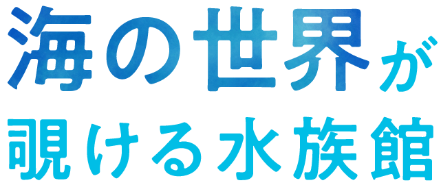 テーマのある旅 海の世界が覗ける水族館 月刊旅色 21年9月号