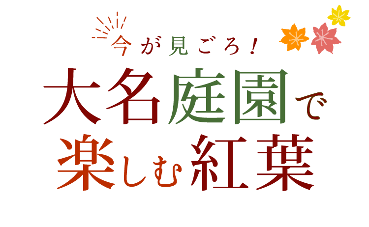 大名庭園で楽しむ紅葉 月刊旅色 21年11月号