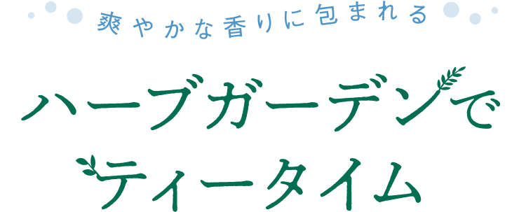 ハーブガーデンでティータイム 月刊旅色 22年7月号