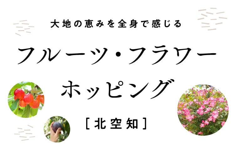北空知出品！他の方はご遠慮ください。 世界の街角から：Power Vacance!! 沖縄北部に開業した“ジャングリア
