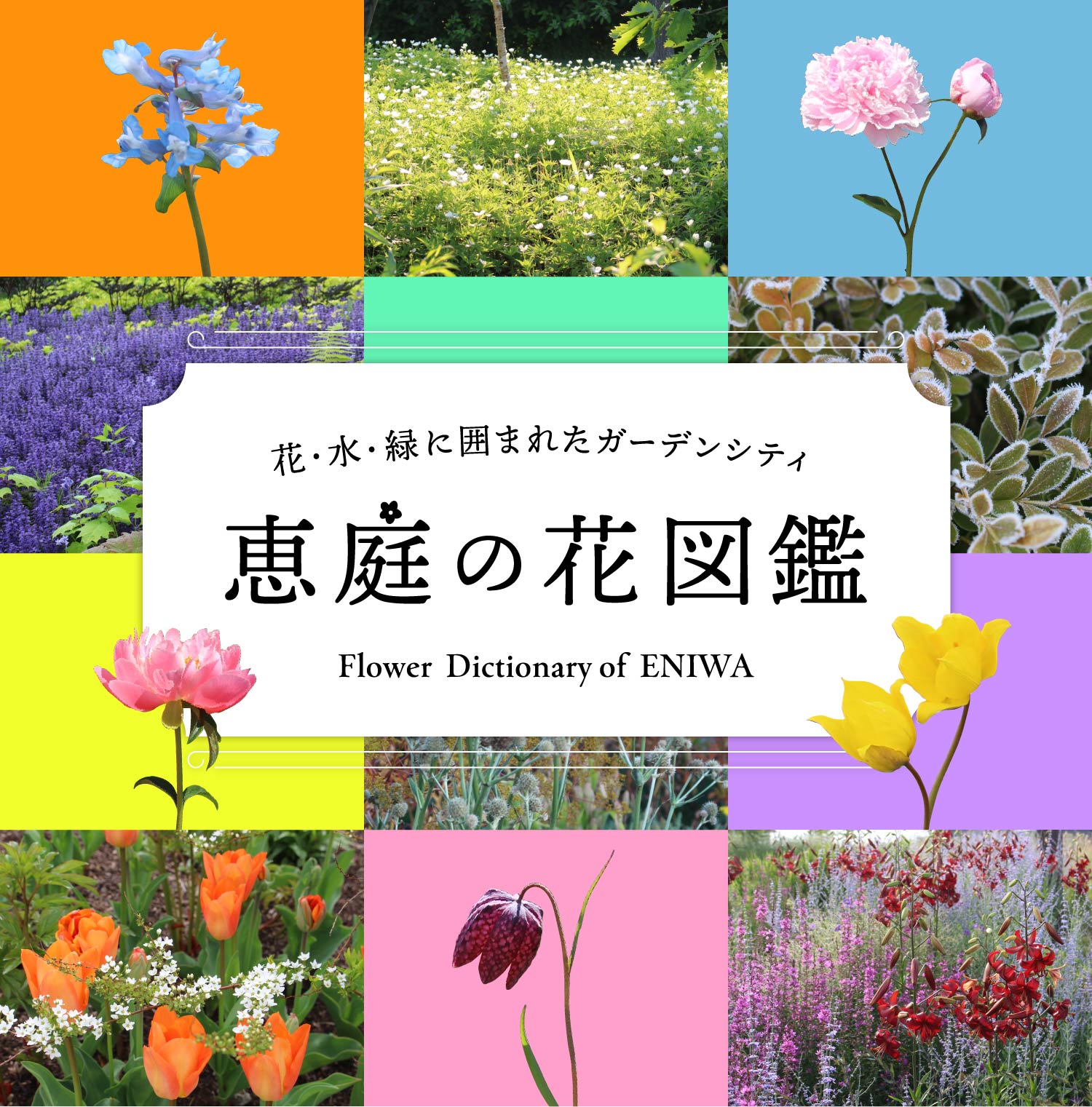 花・水・緑に囲まれたガーデンシティ 恵庭の花図鑑［月刊旅色］2025年2月号