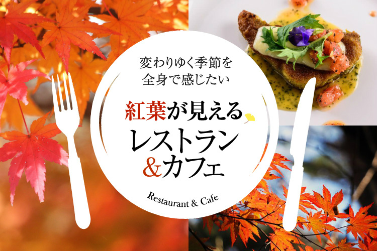 紅葉が見えるレストラン 紅葉スポットと秋を感じる飲食店 カフェ特集 旅色